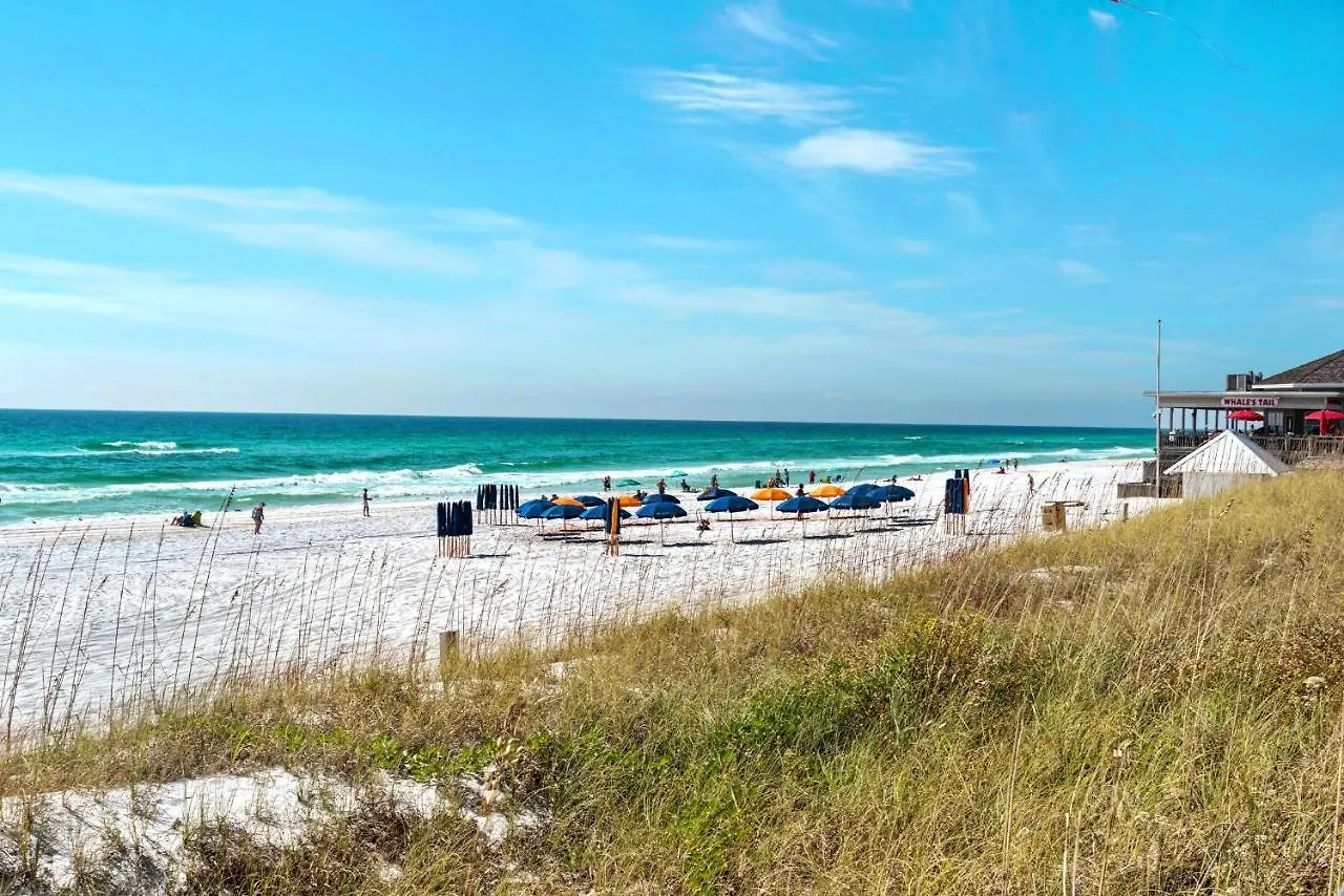 Ariel Dunes I 1609 Destin